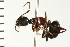  ( - LP00222)  @11 [ ] CreativeCommons - Attribution (2009) Unspecified Centre for Biodiversity Genomics