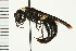  ( - LP00288)  @14 [ ] CreativeCommons - Attribution (2009) Unspecified Centre for Biodiversity Genomics