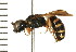  ( - LP00322)  @14 [ ] CreativeCommons - Attribution (2009) Unspecified Centre for Biodiversity Genomics