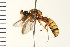  ( - LP00331)  @14 [ ] CreativeCommons - Attribution (2009) Unspecified Centre for Biodiversity Genomics