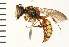  ( - LP00332)  @14 [ ] CreativeCommons - Attribution (2009) Unspecified Centre for Biodiversity Genomics
