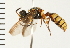  ( - LP00333)  @13 [ ] CreativeCommons - Attribution (2009) Unspecified Centre for Biodiversity Genomics