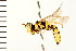  ( - LP00365)  @13 [ ] CreativeCommons - Attribution (2009) Unspecified Centre for Biodiversity Genomics