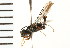 ( - LP00399)  @11 [ ] CreativeCommons - Attribution (2009) Unspecified Centre for Biodiversity Genomics