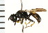  ( - LP00408)  @11 [ ] CreativeCommons - Attribution (2009) Unspecified Centre for Biodiversity Genomics