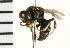  ( - LP00421)  @11 [ ] CreativeCommons - Attribution (2009) Unspecified Centre for Biodiversity Genomics