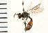  ( - LP00426)  @11 [ ] CreativeCommons - Attribution (2009) Unspecified Centre for Biodiversity Genomics