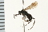  ( - LP00455)  @11 [ ] CreativeCommons - Attribution (2009) Unspecified Centre for Biodiversity Genomics
