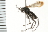  ( - LP00459)  @11 [ ] CreativeCommons - Attribution (2009) Unspecified Centre for Biodiversity Genomics