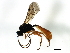  ( - 08BBHYM-1019)  @12 [ ] CreativeCommons - Attribution (2009) Unspecified Centre for Biodiversity Genomics