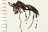  ( - HYMN 0102.02)  @11 [ ] CreativeCommons - Attribution (2008) Unspecified Centre for Biodiversity Genomics