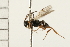  ( - HYMN 0169.02)  @12 [ ] CreativeCommons - Attribution (2008) Unspecified Centre for Biodiversity Genomics