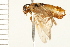  ( - HYMN 0223.02)  @12 [ ] CreativeCommons - Attribution (2008) Unspecified Centre for Biodiversity Genomics