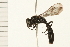  ( - 08BBHYM-0193)  @14 [ ] CreativeCommons - Attribution (2009) Unspecified Centre for Biodiversity Genomics