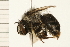  ( - 08BBHYM-0205)  @14 [ ] CreativeCommons - Attribution (2009) Unspecified Centre for Biodiversity Genomics