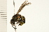  ( - 08BBHYM-0256)  @13 [ ] CreativeCommons - Attribution (2009) Unspecified Centre for Biodiversity Genomics