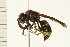  ( - 08BBHYM-0260)  @14 [ ] CreativeCommons - Attribution (2009) Unspecified Centre for Biodiversity Genomics