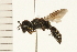  ( - 08BBHYM-0264)  @13 [ ] CreativeCommons - Attribution (2009) Unspecified Centre for Biodiversity Genomics