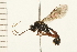  ( - 08BBHYM-0268)  @13 [ ] CreativeCommons - Attribution (2009) Unspecified Centre for Biodiversity Genomics