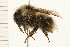  ( - 08BBHYM-0279)  @13 [ ] CreativeCommons - Attribution (2009) Unspecified Centre for Biodiversity Genomics