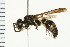  ( - 08BBHYM-0480)  @15 [ ] CreativeCommons - Attribution (2009) Unspecified Centre for Biodiversity Genomics