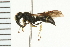  ( - 08BBHYM-0519)  @13 [ ] CreativeCommons - Attribution (2009) Unspecified Centre for Biodiversity Genomics