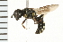  ( - 08BBHYM-0525)  @13 [ ] CreativeCommons - Attribution (2009) Unspecified Centre for Biodiversity Genomics