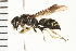  ( - 08BBHYM-0530)  @14 [ ] CreativeCommons - Attribution (2009) Unspecified Centre for Biodiversity Genomics