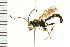  ( - 08BBHYM-0612)  @14 [ ] CreativeCommons - Attribution (2009) Unspecified Centre for Biodiversity Genomics