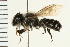  ( - 08BBHYM-0615)  @13 [ ] CreativeCommons - Attribution (2009) Unspecified Centre for Biodiversity Genomics