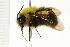  ( - 08BBHYM-0643)  @13 [ ] CreativeCommons - Attribution (2009) Unspecified Centre for Biodiversity Genomics