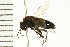  ( - 08BBHYM-0662)  @13 [ ] CreativeCommons - Attribution (2009) Unspecified Centre for Biodiversity Genomics