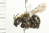  ( - 08BBHYM-0097)  @14 [ ] CreativeCommons - Attribution (2009) Unspecified Centre for Biodiversity Genomics