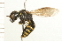  ( - 08BBHYM-0129)  @13 [ ] CreativeCommons - Attribution (2009) Unspecified Centre for Biodiversity Genomics