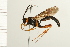  ( - 08BBHYM-0160)  @14 [ ] CreativeCommons - Attribution (2009) Unspecified Centre for Biodiversity Genomics