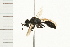  ( - 08BBHYM-0316)  @13 [ ] CreativeCommons - Attribution (2009) Unspecified Centre for Biodiversity Genomics