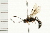  ( - 08BBHYM-0317)  @13 [ ] CreativeCommons - Attribution (2009) Unspecified Centre for Biodiversity Genomics