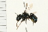  ( - 08BBHYM-0332)  @13 [ ] CreativeCommons - Attribution (2009) Unspecified Centre for Biodiversity Genomics