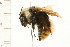  ( - 08BBHYM-0349)  @14 [ ] CreativeCommons - Attribution (2009) Unspecified Centre for Biodiversity Genomics