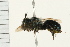  ( - 08BBHYM-0361)  @13 [ ] CreativeCommons - Attribution (2009) Unspecified Centre for Biodiversity Genomics