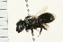  ( - 08BBHYM-0364)  @12 [ ] CreativeCommons - Attribution (2009) Unspecified Centre for Biodiversity Genomics
