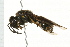  ( - 08BBHYM-0366)  @13 [ ] CreativeCommons - Attribution (2009) Unspecified Centre for Biodiversity Genomics
