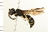  ( - 08BBHYM-0388)  @14 [ ] CreativeCommons - Attribution (2009) Unspecified Centre for Biodiversity Genomics