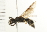  ( - 08BBHYM-0402)  @13 [ ] CreativeCommons - Attribution (2009) Unspecified Centre for Biodiversity Genomics