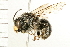  ( - 08BBHYM-0405)  @12 [ ] CreativeCommons - Attribution (2009) Unspecified Centre for Biodiversity Genomics