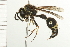  ( - 08BBHYM-0419)  @14 [ ] CreativeCommons - Attribution (2009) Unspecified Centre for Biodiversity Genomics