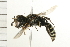  ( - 08BBHYM-0423)  @13 [ ] CreativeCommons - Attribution (2009) Unspecified Centre for Biodiversity Genomics