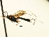  ( - HLC-17718)  @13 [ ] CreativeCommons - Attribution (2008) Unspecified Centre for Biodiversity Genomics