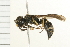  ( - 08BBHYM-0464)  @13 [ ] CreativeCommons - Attribution (2009) Unspecified Centre for Biodiversity Genomics