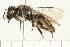  ( - 08BBHYM-0712)  @14 [ ] CreativeCommons - Attribution (2009) Unspecified Centre for Biodiversity Genomics